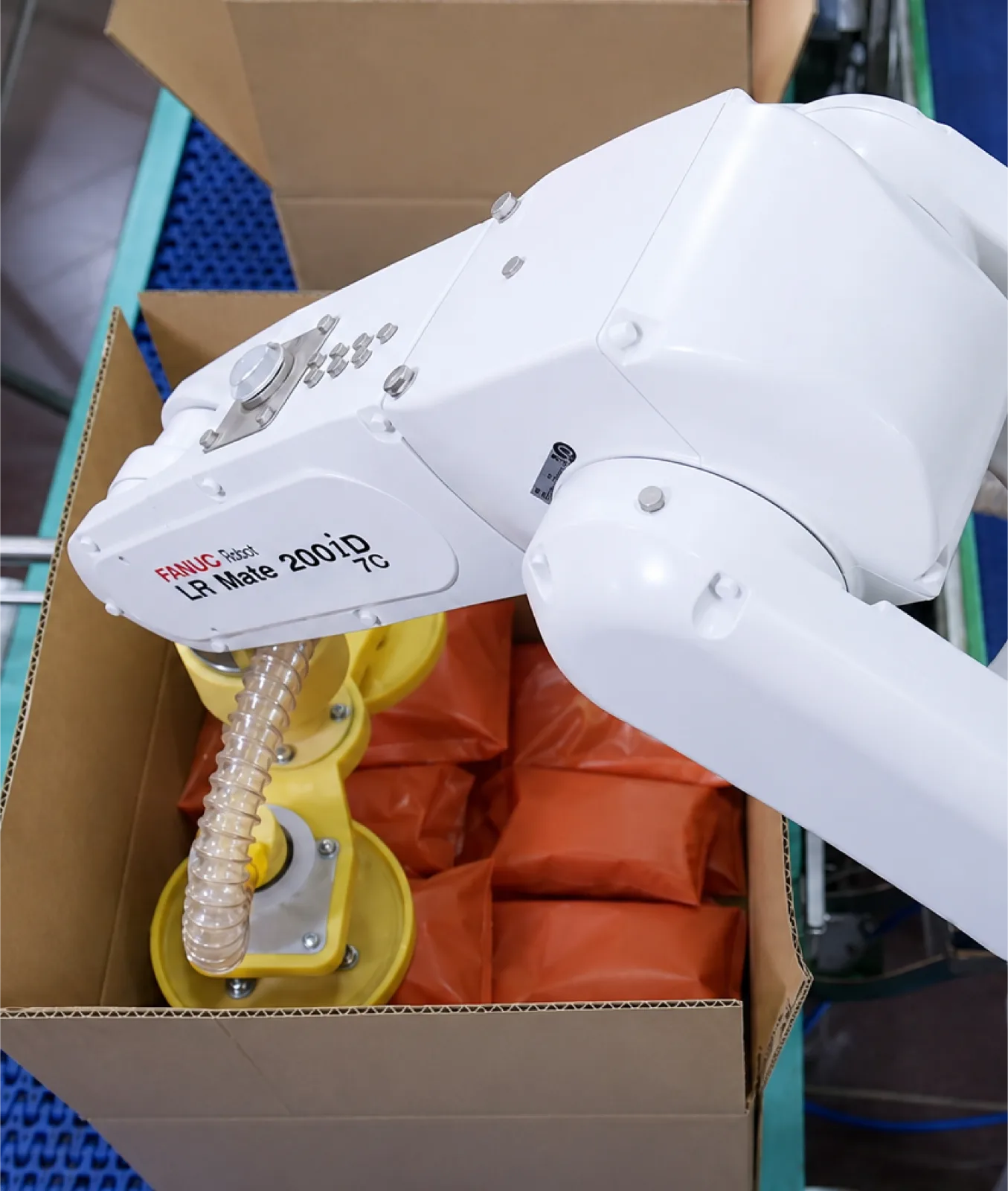 Endüstriyel robot kol, dolu poşetleri karton kutunun içine yerleştiriyor